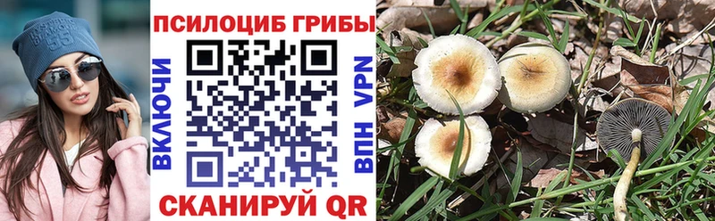 Галлюциногенные грибы GOLDEN TEACHER  даркнет сайт  Гороховец 